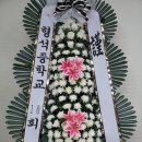 초정노인장례식장