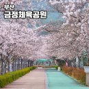 체육공원로399번길 이미지