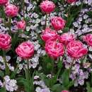 순천만국가정원(동문) 이미지