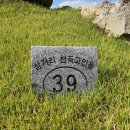 삼거리천곡고인돌 이미지