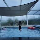 오르비에터 이미지