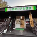 오동장작구이 | 충주 봉황자연휴양림 카라반 숙박 이용 후기 [오토캠핑장 사이트 정보, 가성비 좋은 곳, 봉황계곡]