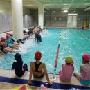 진동종합복지관 수영장 이미지