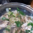 덴트닥터 이미지