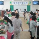 계룡시 농업기술센터 이미지