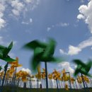 바람개비 이미지