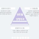 센트럴성형외과 이미지