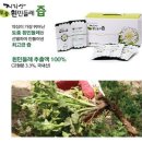 지리산사람들(지리산민들레) 이미지