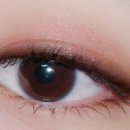 개이쁘다 이미지