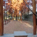 공암나루근린공원 이미지