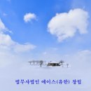 법무사법인에이스서초