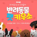팻키우소 | 펫키우소 에서 군산애견미용 한 후기