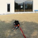 탠덤디자인 이미지