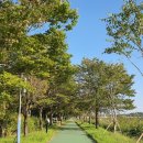 오학 걷고싶은거리 이미지