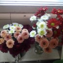 배성농장 이미지