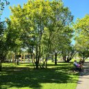 종이비행기 이미지