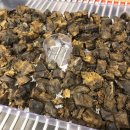 수지소생한의원 이미지