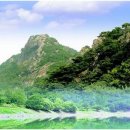 사림동212 이미지