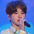 개, 이쁘다 이미지