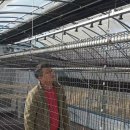 브리더스퀄리티 이미지