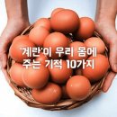 계란'이 우리 몸에 주는 기적 10가지 이미지