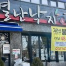 별난장어 이미지