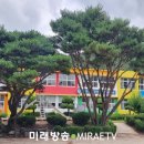 월곡초등학교동계분교장 이미지