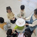 신월초교병설유치원 이미지