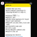 샐러드바스켓 이미지