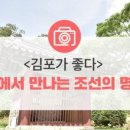 청송심씨 묘역 이미지