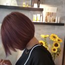 헤어살롱바비(HAIR SALON)