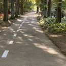 경상남도수목원주차장 이미지