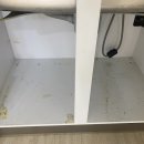 [공지] 광진구 자양동 입주청소 정기청소 대청소한판