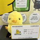 병아리김밥춘천장학점 이미지