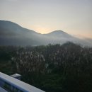 국토종주 5일차 합천창녕보 ~ 낙동강 하굿둑