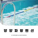 파랑 | 강원도 4M 잠수풀 수영장 보유한 양양파랑펜션 내돈내산 후기 ⓒ ᴍᴏᴀ sᴛᴏʀʏ
