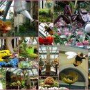 벨라지오 이미지