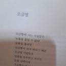 소금별 이미지