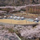 월아산 숲속의 진주 자연휴양림 이미지