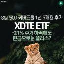 토곡리 암분산주 | S&amp;P500 커버드콜 XDTE 1년 5개월 투자 후기, 주가는 -21%, 근데 현금으로는 플러스