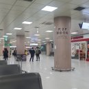 우리들곳간영농조합법인 | 우리나라 국내 주류시장 트렌드 파악? 2025년 우리쌀 우리술 K-라이스 페스타 후기! 에 송화버섯을 곁들인