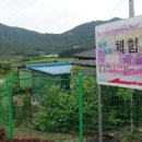 신월리달뜨는마을 네이버블로그