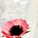 손끝에서 피어나는 페이퍼 플라워 이미지