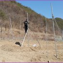 면봉산식당 이미지