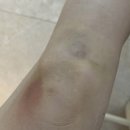 혜자월드 | 040 홍대_제로월드 [층간소음] 후기