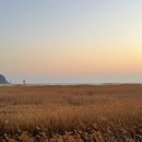올리브영부산다대포점 | 부산여행 추천코스 노을맛집 다대포해수욕장 일몰 후기
