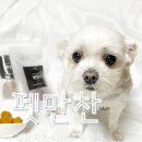 펫만찬 | 애견간식 추천:: 노령견도 잘 먹는 애견수제간식 펫만찬 후기