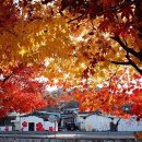 매산마을 이미지