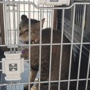 둔포119안전센터 이미지