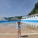 아산스파비스내목욕장 | 사계절 온천수 수영장 아산 스파비스 입장요금 및 선베드 대여요금